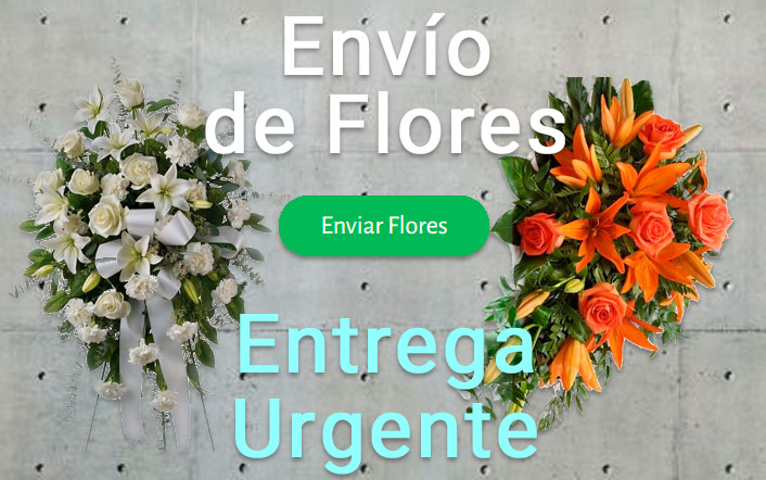 Envío de flores urgente a Tanatorio Asturias
